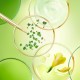 Nuxe Nuxuriance Ultra Ενυδατική & Αντιγηραντική Κρέμα Προσώπου 50ml Nuxe Nuxuriance Ultra Ενυδατική & Αντιγηραντική Κρέμα Προσώπου 50ml