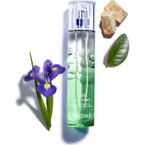 Caudalie Eau Des Vignes Εau Fraiche 50ml Caudalie Eau Des Vignes Εau Fraiche 50ml