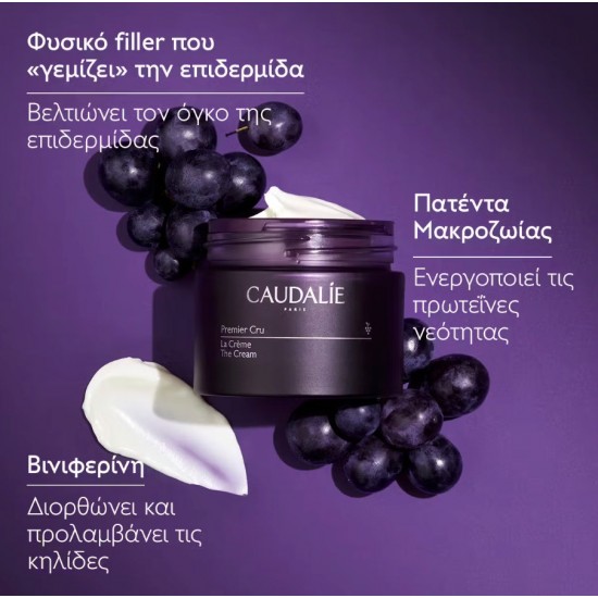 Caudalie Premier Cru Κρέμα Προσώπου για Ενυδάτωση, Αντιγήρανση & Σύσφιξη με Υαλουρονικό Οξύ 50ml Caudalie Premier Cru Κρέμα Προσώπου για Ενυδάτωση, Αντιγήρανση & Σύσφιξη με Υαλουρονικό Οξύ 50ml