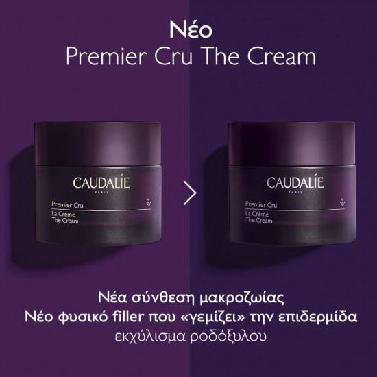Caudalie Premier Cru Κρέμα Προσώπου για Ενυδάτωση, Αντιγήρανση & Σύσφιξη με Υαλουρονικό Οξύ 50ml Caudalie Premier Cru Κρέμα Προσώπου για Ενυδάτωση, Αντιγήρανση & Σύσφιξη με Υαλουρονικό Οξύ 50ml