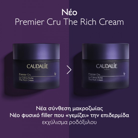 Caudalie Premier Cru Rich Κρέμα Προσώπου για Ενυδάτωση, Αντιγήρανση & Σύσφιξη με Υαλουρονικό Οξύ & Ceramides 50ml Caudalie Premier Cru Rich Κρέμα Προσώπου για Ενυδάτωση, Αντιγήρανση & Σύσφιξη με Υαλουρονικό Οξύ & Ceramides 50ml