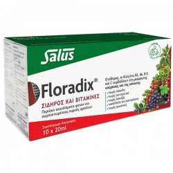 POWER HEALTH - Floradix, 10 x 20 ml