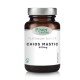 Power Health Platinum Range Chios Mastic 400mg Μαστίχα Χίου 15 κάψουλες Power Health Platinum Range Chios Mastic 400mg Μαστίχα Χίου 15 κάψουλες