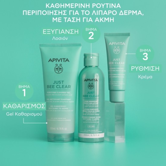 Apivita Routine Just Bee Clear Σετ Περιποίησης για Ενυδάτωση 3τμχ Apivita Routine Just Bee Clear Σετ Περιποίησης για Ενυδάτωση 3τμχ