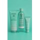 Apivita Routine Just Bee Clear Σετ Περιποίησης για Ενυδάτωση 3τμχ Apivita Routine Just Bee Clear Σετ Περιποίησης για Ενυδάτωση 3τμχ