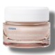 Korres Apotherapy Wild Rose Night Brightening Sleeping Κρέμα Προσώπου Νυκτός για Ενυδάτωση & Αντιγήρανση με Υαλουρονικό Οξύ & Βιταμίνη C 40ml Korres Apotherapy Wild Rose Night Brightening Sleeping Κρέμα Προσώπου Νυκτός για Ενυδάτωση & Αντιγήρανση με Υαλουρονικό Οξύ & Βιταμίνη C 40ml