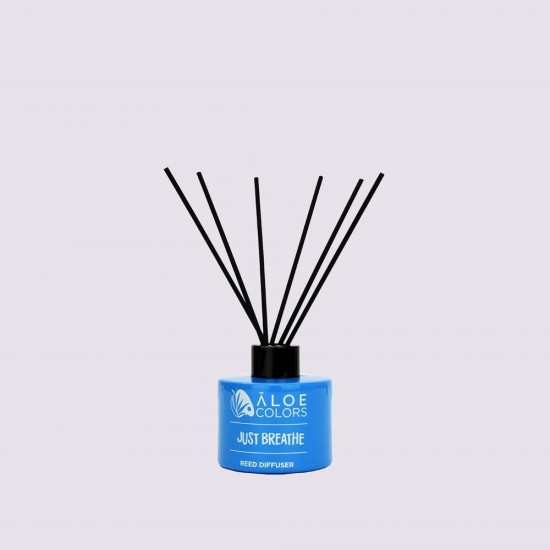 Aloe Colors Αρωματικό Χώρου με Sticks Just 125ml Aloe Colors Αρωματικό Χώρου με Sticks Just 125ml
