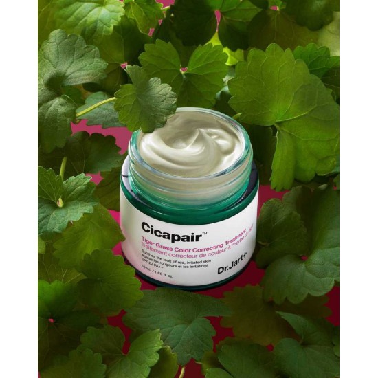Dr. Jart+ Cicapair Tiger Grass Κρέμα Προσώπου Ημέρας με Χρώμα για Ευαίσθητες Επιδερμίδες 30ml Dr. Jart+ Cicapair Tiger Grass Κρέμα Προσώπου Ημέρας με Χρώμα για Ευαίσθητες Επιδερμίδες 30ml