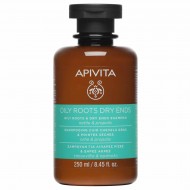 APIVITA - Holistic Hair Care Oily Roots & Dry Ends Σαμπουάν εξισορρόπησης για Λιπαρές Ρίζες & Ξηρές Άκρες με Τσουκνίδα & Πρόπολη 250ml