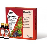 POWER HEALTH - Floradix, 10 x 20 ml