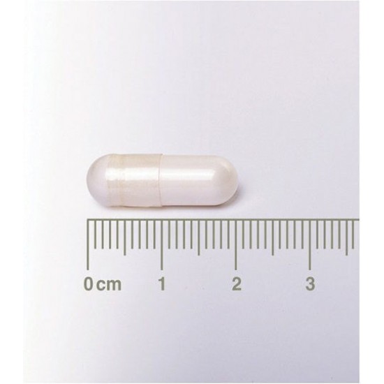 Lamberts Neuro-Logical Pea Ειδικό Συμπλήρωμα Διατροφής για τη φυσιολογική λειτουργία του νευρικού συστήματος 60 κάψουλες