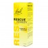 POWER BACH RESCUE REMEDY NIGHT DROPS 10ML