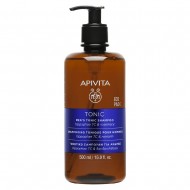 APIVITA - Holistic Hair Care Men's Tonic Eco Pack Σαμπουάν κατά της Ανδρικής τριχόπτωσης με Hippophae TC και Rosemary 500ml