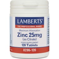 Lamberts Zinc 25mg (Citrate) 120 ταμπλέτες