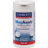 Lamberts - Mag Asorb - 60 TABLETS