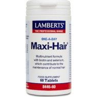 Lamberts One A Day Maxi Hair 60 ταμπλέτες