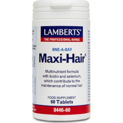 Lamberts One A Day Maxi Hair 60 tablets
