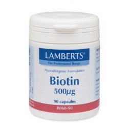 Lamberts Biotin 500mcg Βιοτίνη Βιταμίνες για τα Μαλλιά 90 Κάψουλες