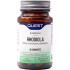 Quest - RHODIOLA 250mg Extract 30TABS